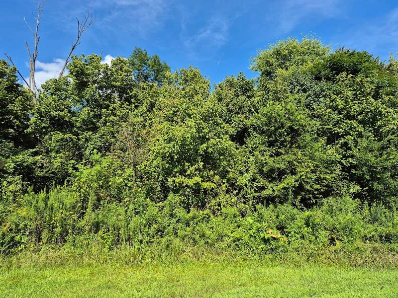 Irish Buffalo Creek Greenway Access - Image 2