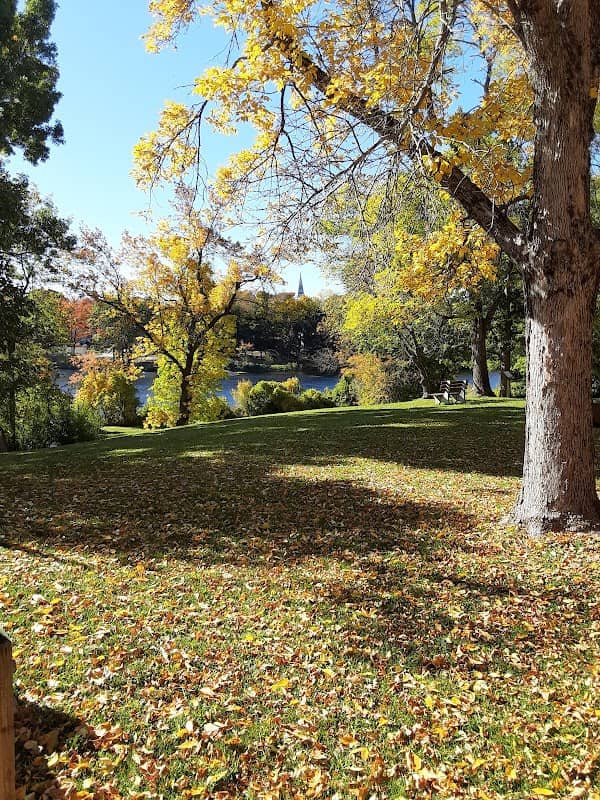 Webster Park - Image 2
