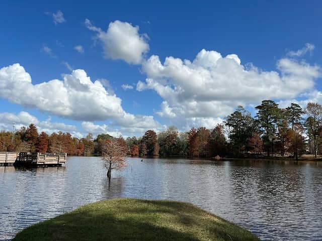 Farrior Park - Image 1