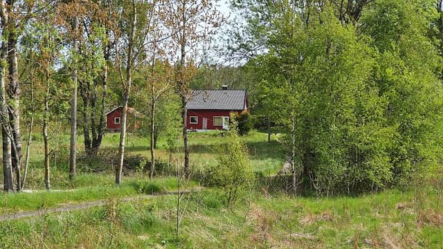 Helgerød Forest - Image 2