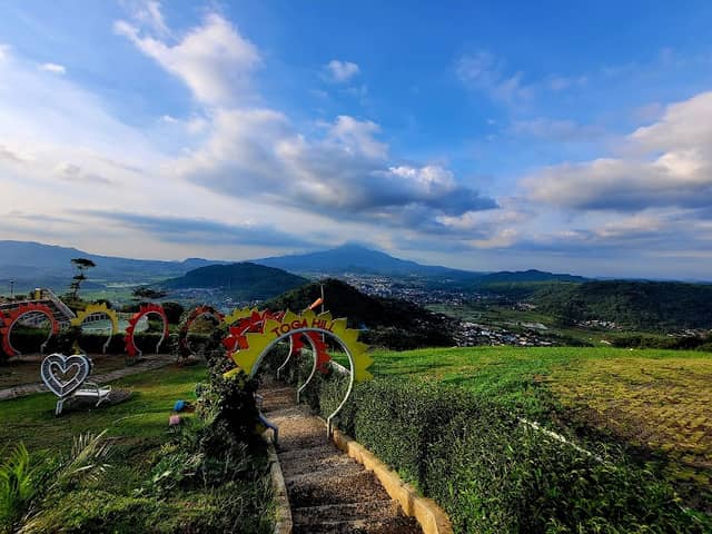 TOGA HILL - Image 1