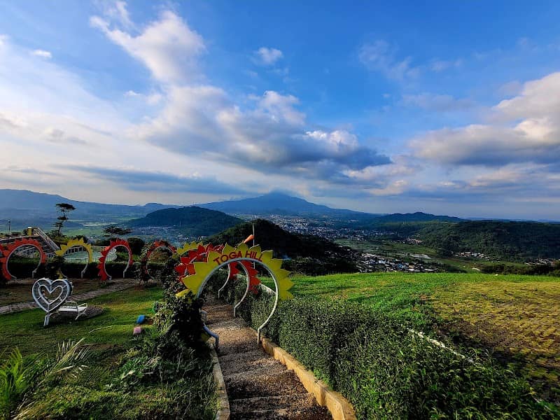 TOGA HILL - Image 1