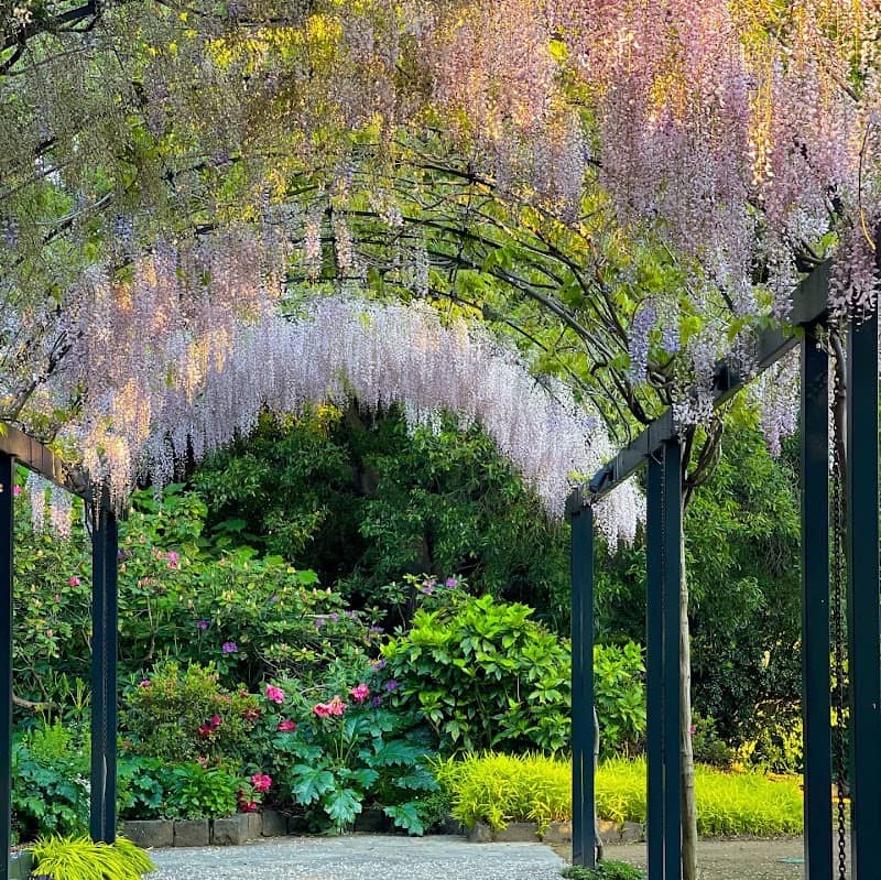 Burnley Gardens - Image 2