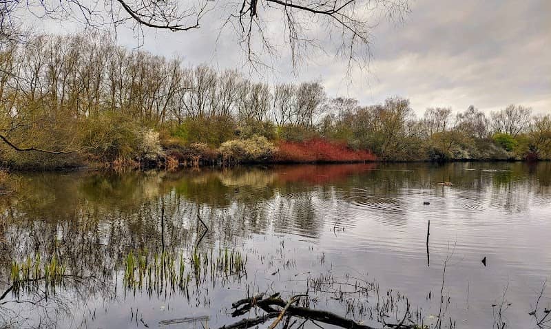 Pengy's Hide - Image 1