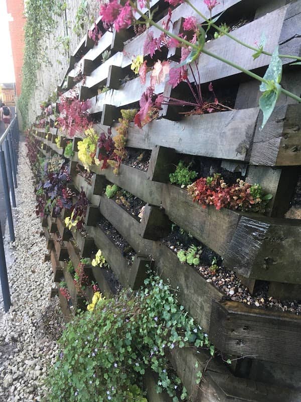 Altrincham's Living Wall - Image 2
