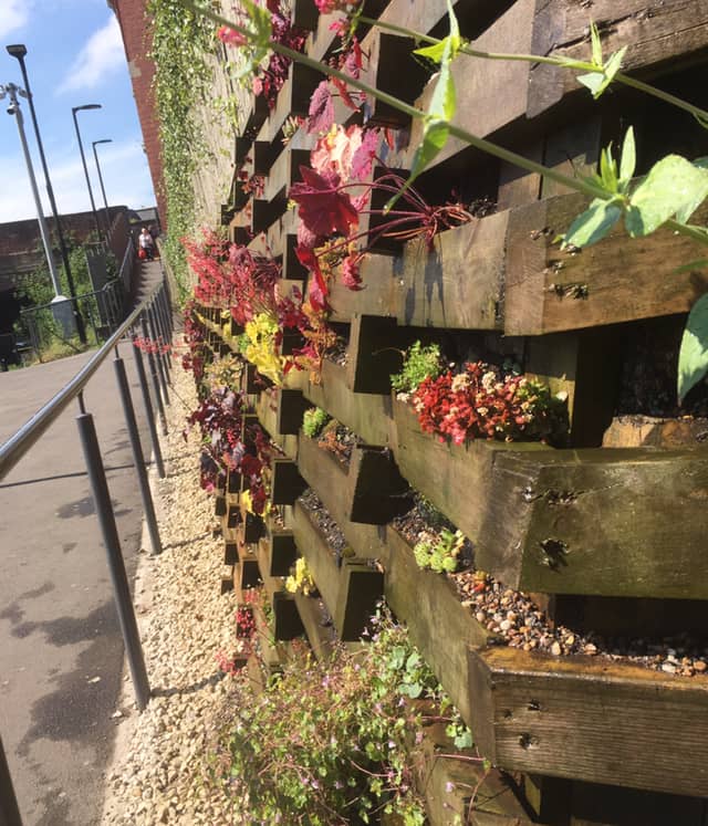 Altrincham's Living Wall - Image 1