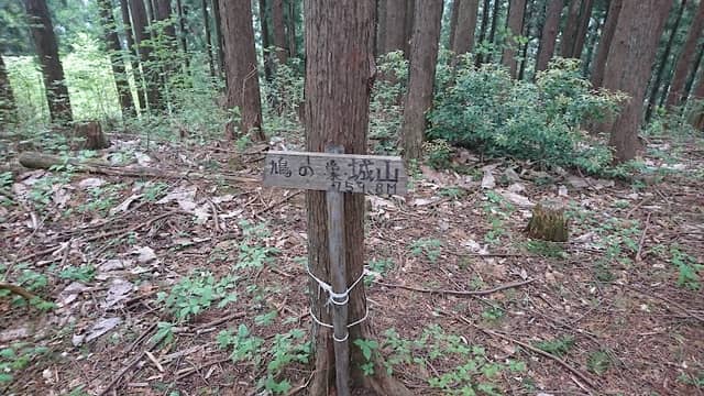 Mt. Hatonosu Shiroyama - Image 1