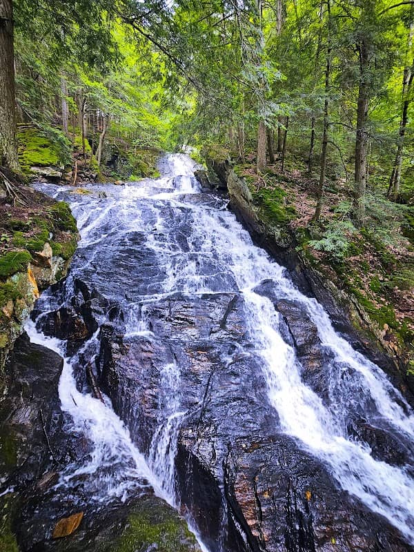 Thundering Brook Falls Trail - Image 1