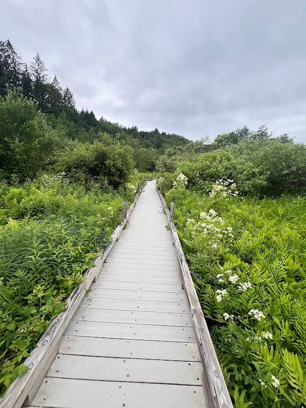 Thundering Brook Falls Trail - Image 2