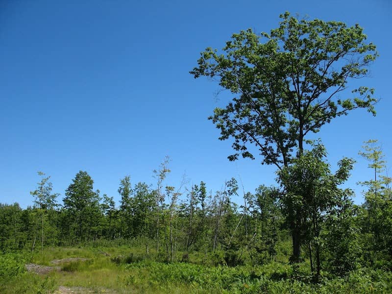 Arenac County High Point - Image 1