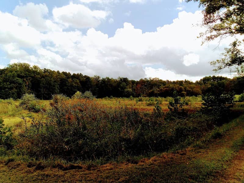 Evans McKinney Park - Image 1