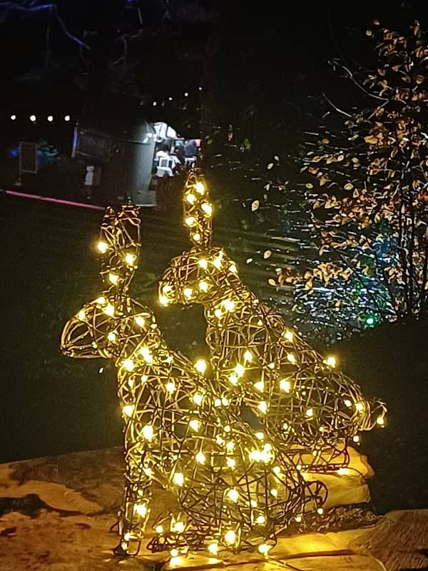 The Lights of Abraham - Image 2