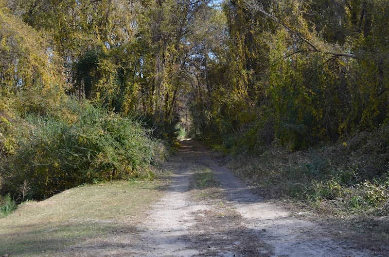 Long Bluff Property - Image 2