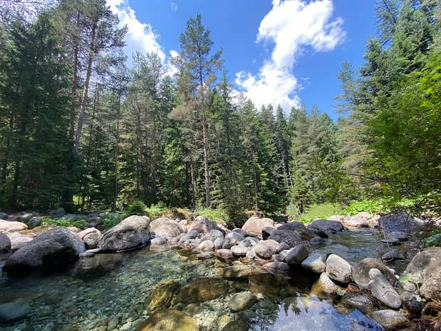 Skinny Dipping Hole - Image 2