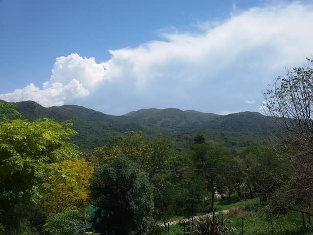 Paseo del Caminante - La Paisanita - Image 1