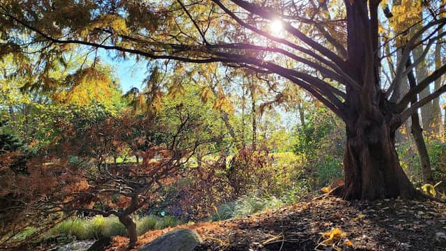 Morningside Park - Image 1