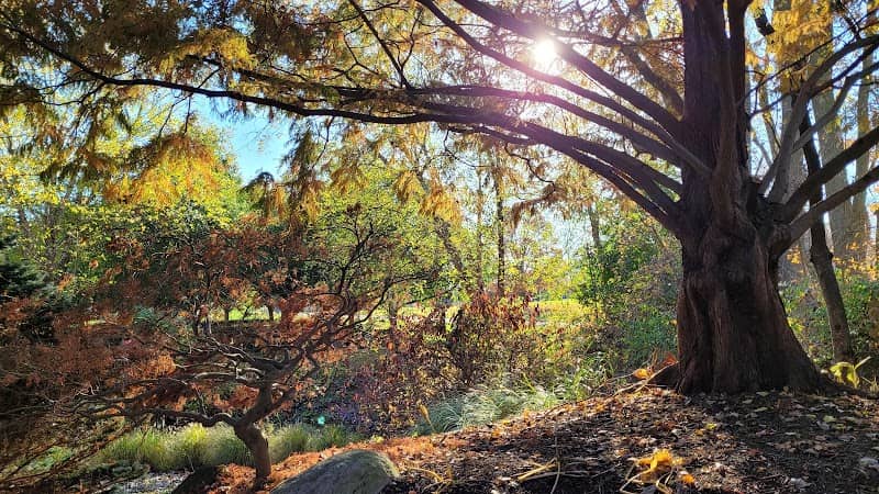 Morningside Park - Image 1