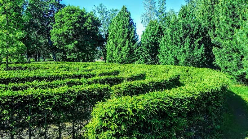 Kirjurinluoto Labyrinth - Image 1