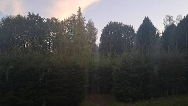 Kirjurinluoto Labyrinth - Image 2