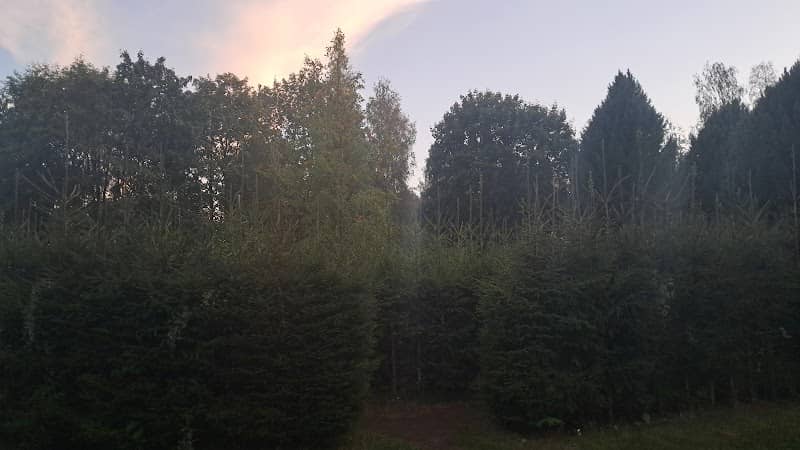 Kirjurinluoto Labyrinth - Image 2