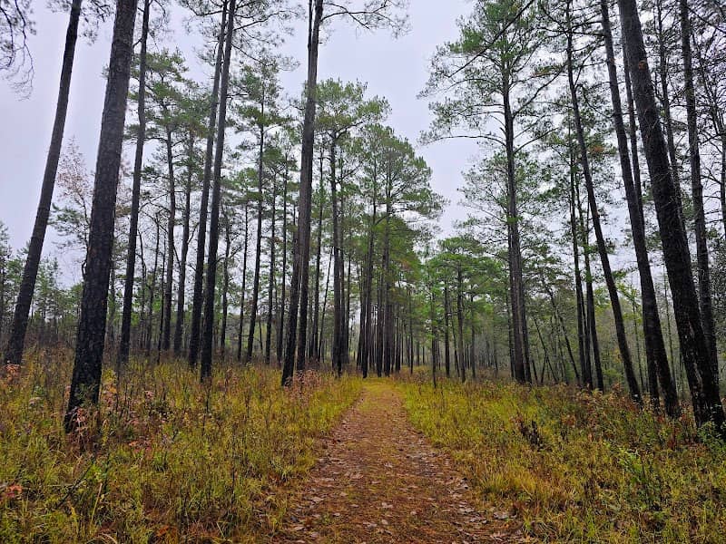 Birdsong Nature Center - Image 2
