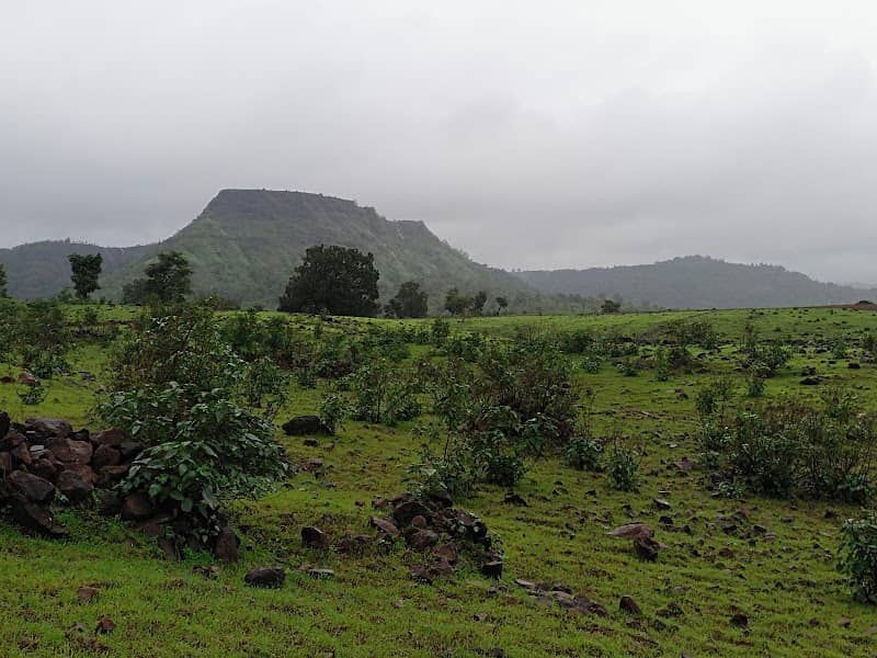 Kasara Hill station - Image 1
