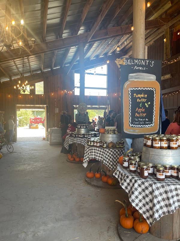 Belmont Pumpkin Farm - Image 2