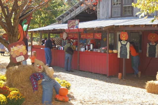 Belmont Pumpkin Farm - Image 1