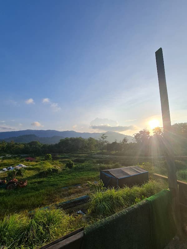 Bungalicious farm - Image 2