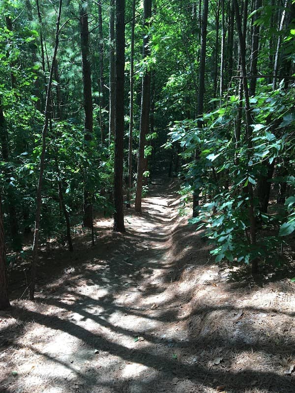 Trevor Ford Memorial Trail - Image 2