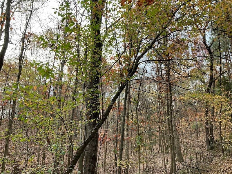 Trevor Ford Memorial Trail - Image 1