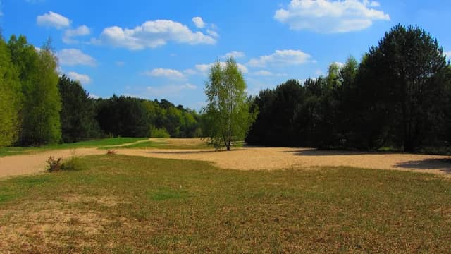 Bieselheide - Image 2