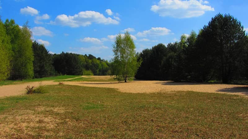 Bieselheide - Image 2