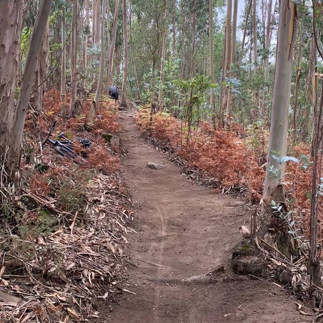 AVESBIKEPARK - Image 2