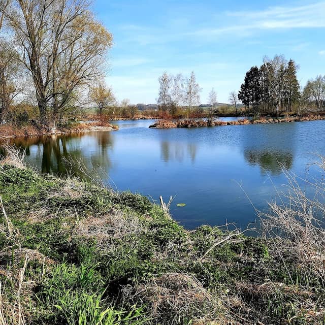 Gingiweiher - Image 1