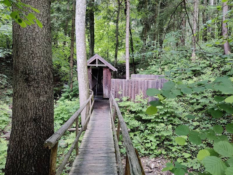 Wald-Douche - KNEIPP-MEDITATIONSWEG - Image 2