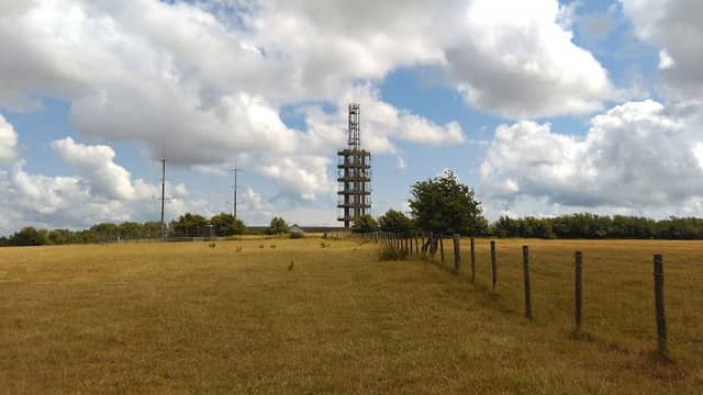Tolsford Hill - Image 2