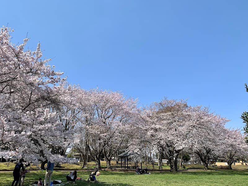 Kamitakaba Park - Image 1