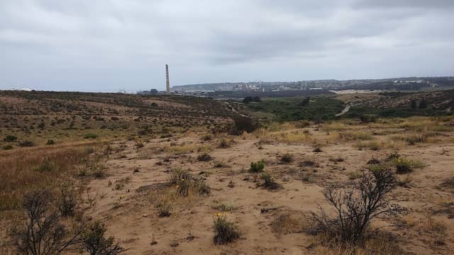 Parada Los Maitenes - Image 1