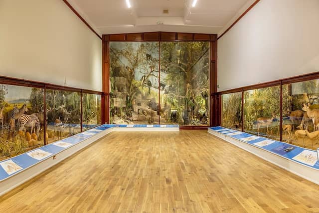 Quex House & Gardens, home of the Powell-Cotton Museum - Image 1