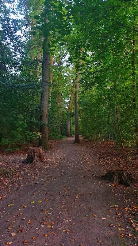 Kleiner Bürgerbusch - Image 2