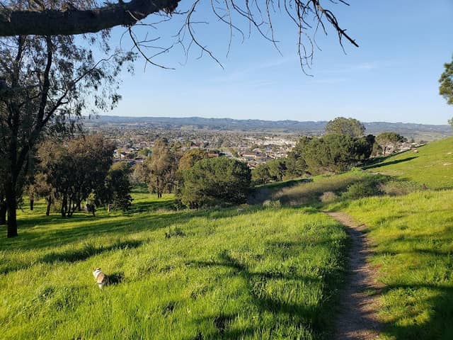 Beattie Park - Image 2