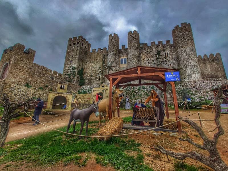 Parque Cinegético de Óbidos - Image 2