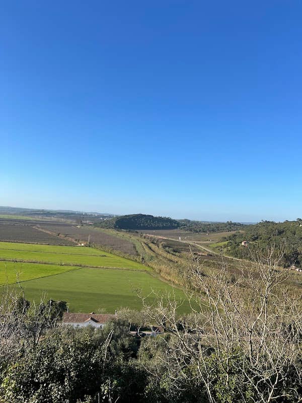 Parque Cinegético de Óbidos - Image 3