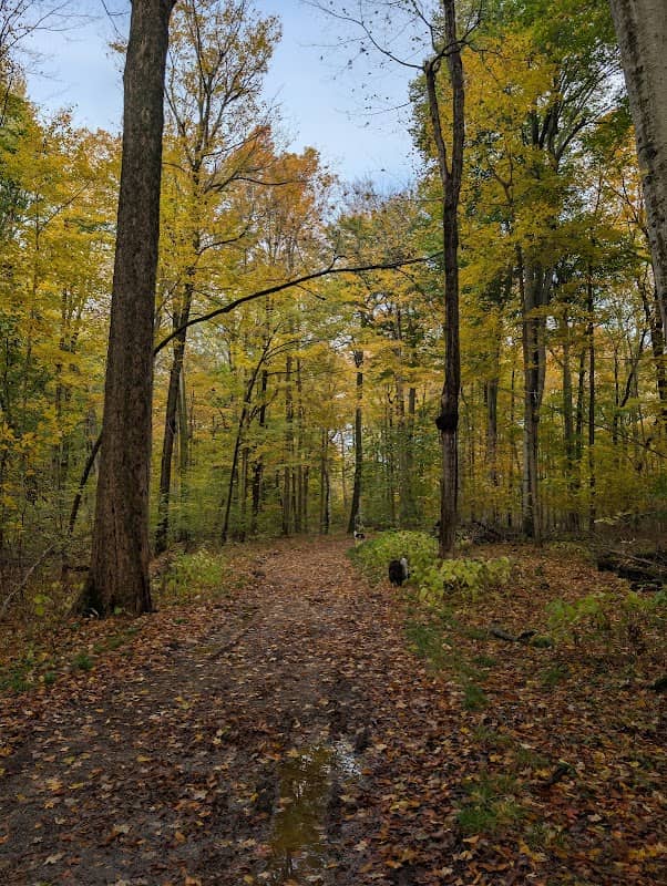 Battle Creek River - Image 2