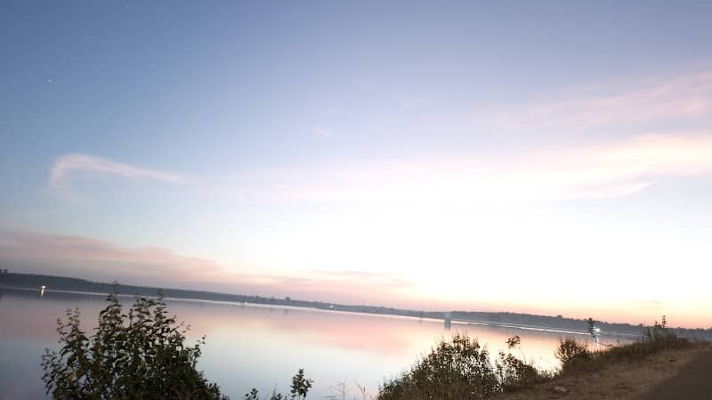 Semry dam bichhua - Image 2