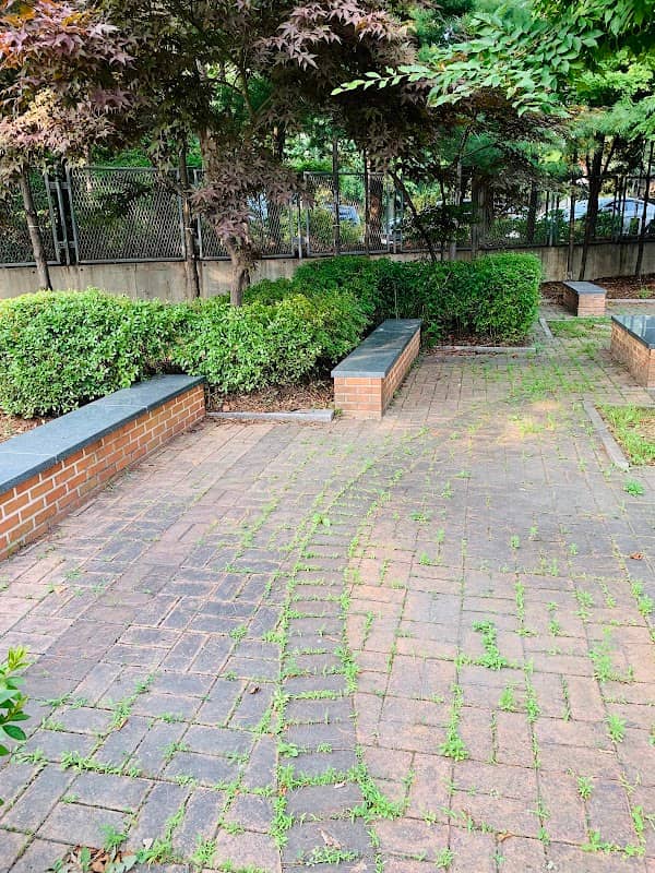 Mini Park - Image 2