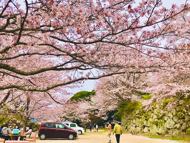 大野 さくらの里 - Image 1