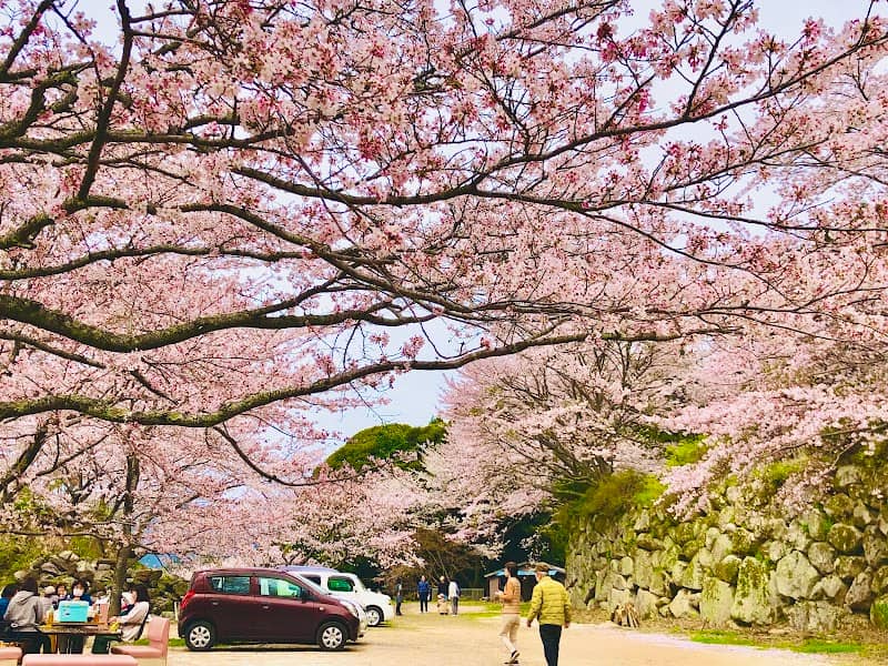 大野 さくらの里 - Image 1