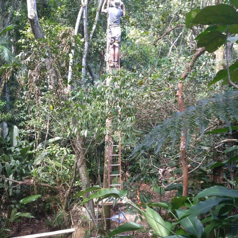 Green Park Zimbros - Image 1